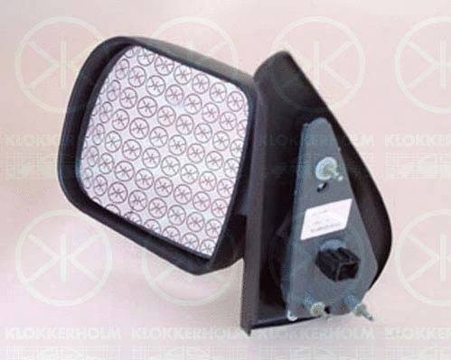 Exterior Mirror (60101034)