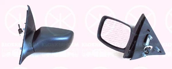 Exterior Mirror (25301023)