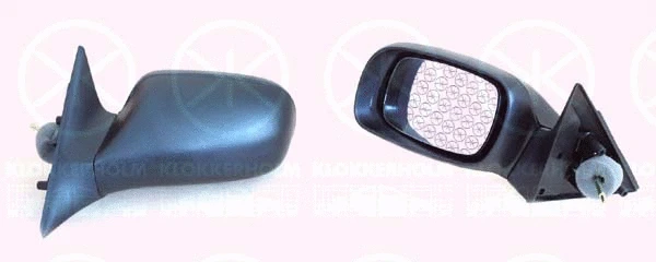 Exterior Mirror (50501023)