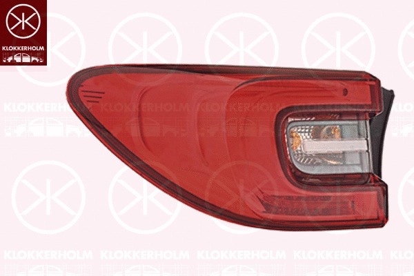 Tail Light Assembly (60170701A1)