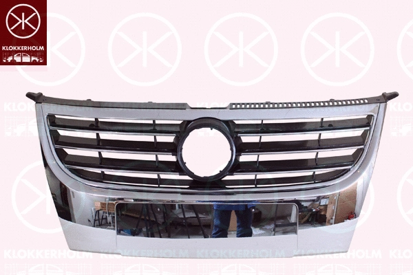 Radiator Grille (9545992)