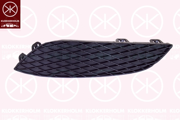 Ventilation Grilles, bumper (5052913)