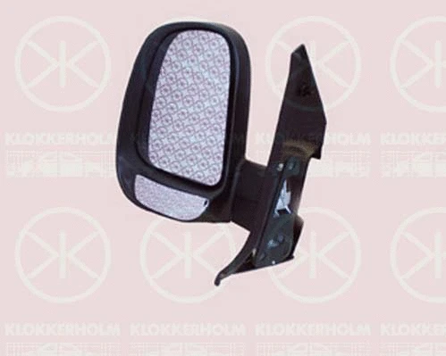 Exterior Mirror (25151020)