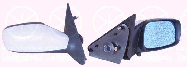 Exterior Mirror (60551041)