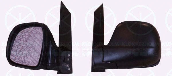 Exterior Mirror (35421011)