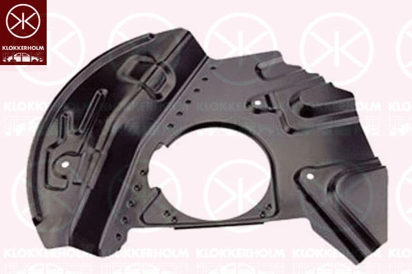 Splash Guard, brake disc (0095378)