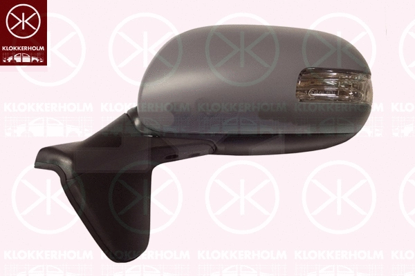 Exterior Mirror (81181044)