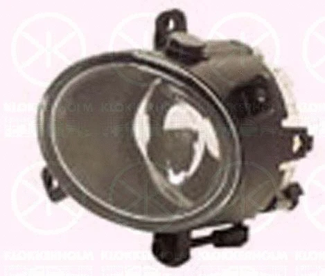 Front Fog Light (25550286A1)