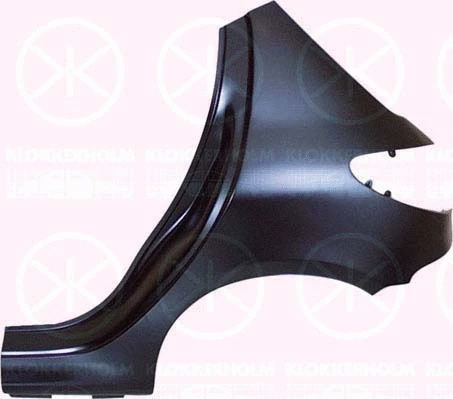 Quarter Panel (5507514)