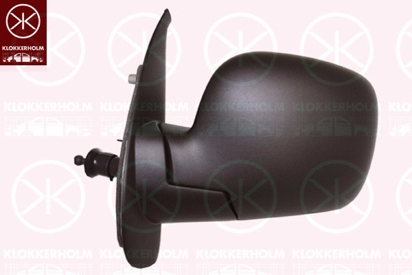 Exterior Mirror (60111044)