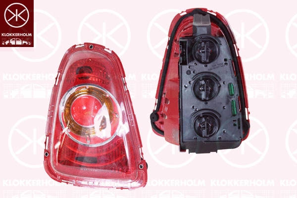 Tail Light Assembly (40010706A1)