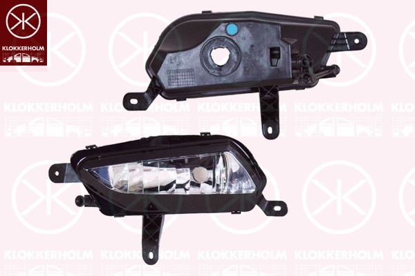 Front Fog Light (50540284)