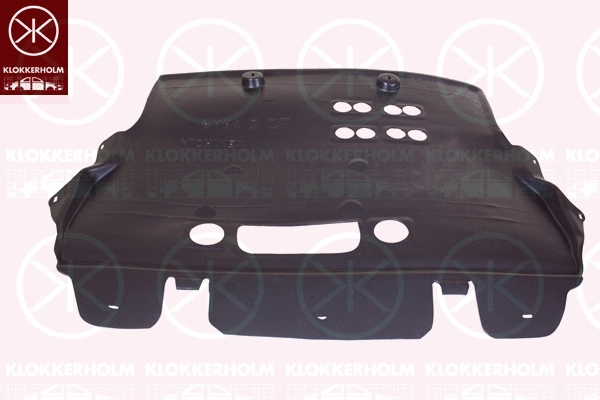 Engine Cover (0552795)