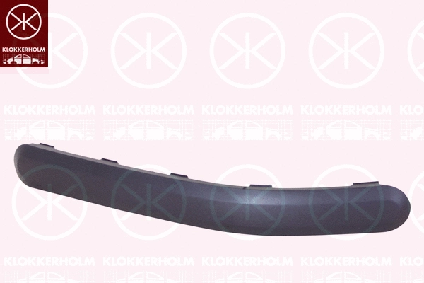 Trim/Protection Strip, bumper (2576971)