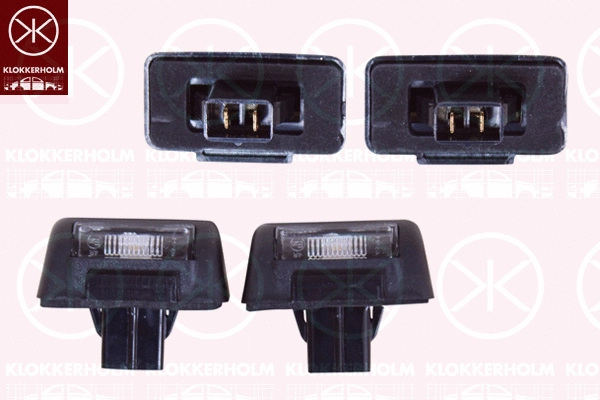 Licence Plate Light (25090860)