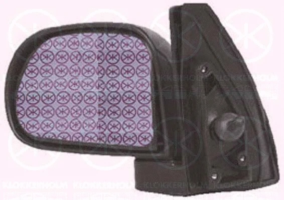 Exterior Mirror (31251024)