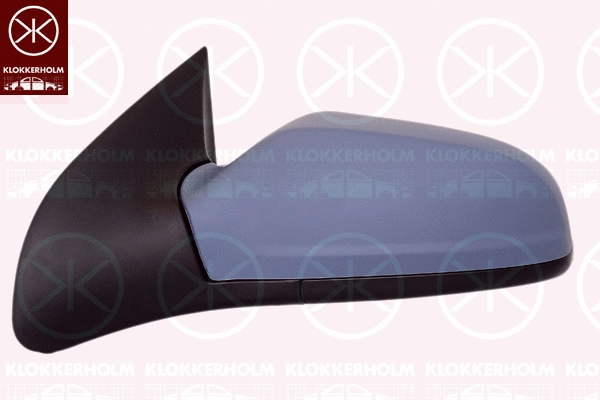 Exterior Mirror (50521047)