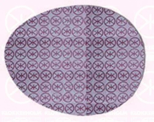 Mirror Glass, exterior mirror (01071061)