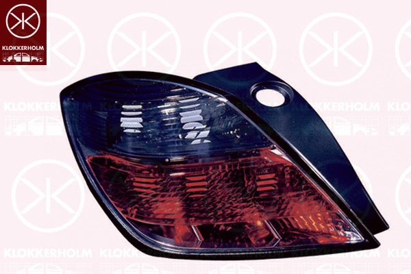 Tail Light Assembly (50520719)