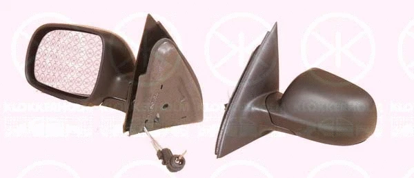 Exterior Mirror (95011021)