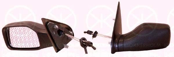 Exterior Mirror (55021023)