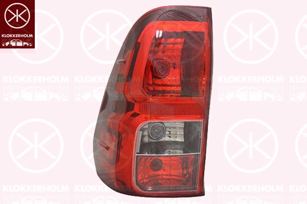Tail Light Assembly (81260701)