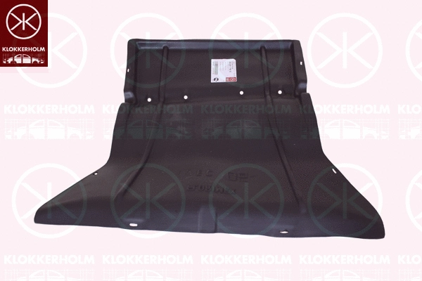 Engine Cover (3081795)