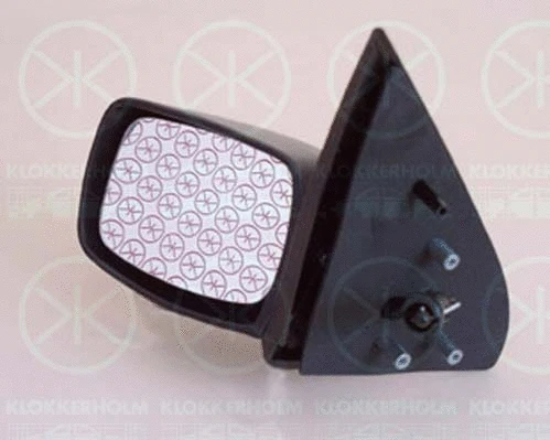 Exterior Mirror (25621024)