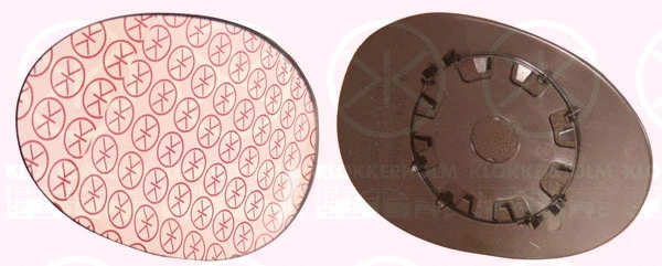 Mirror Glass, exterior mirror (81011061)