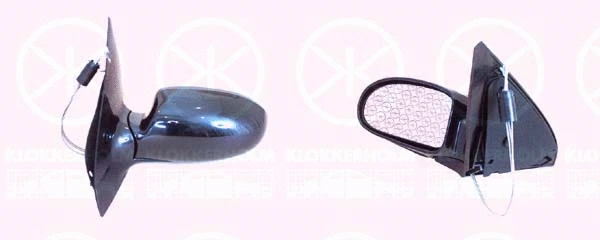 Exterior Mirror (25321022)