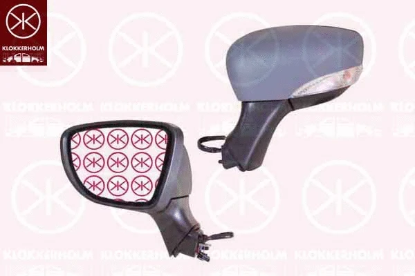 Exterior Mirror (60341045)