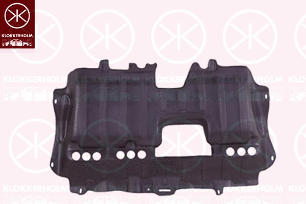 Engine Cover (5509797)
