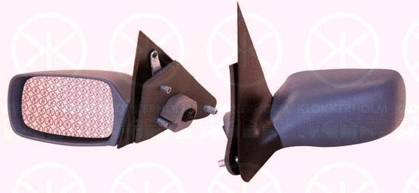 Exterior Mirror (25531043)