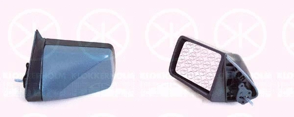 Exterior Mirror (50211021)