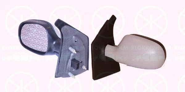 Exterior Mirror (60381043)