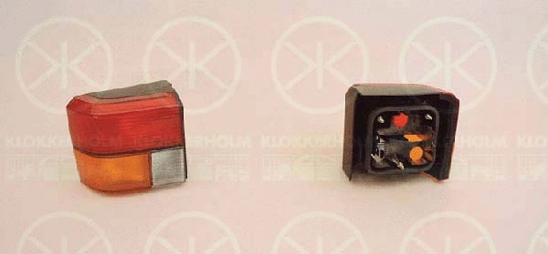 Tail Light Assembly (95580711)