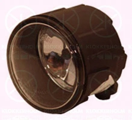 Front Fog Light (16350280)