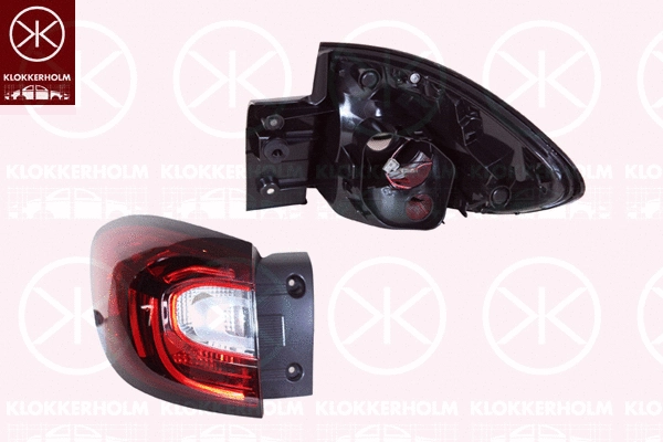 Tail Light Assembly (60140713)