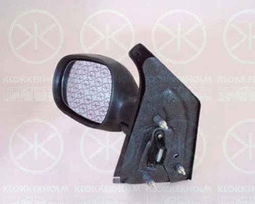 Exterior Mirror (60381042)