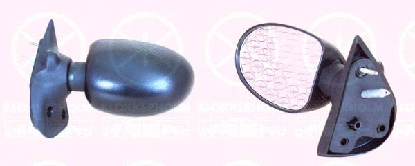 Exterior Mirror (60051021)