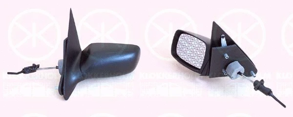 Exterior Mirror (25531021)