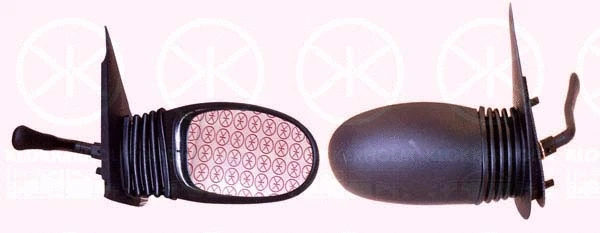 Exterior Mirror (20311022)