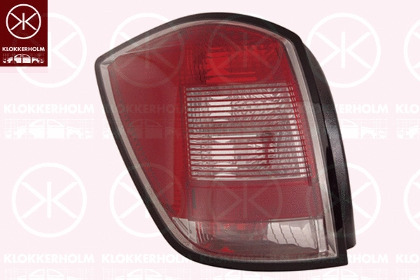Tail Light Assembly (50520717)