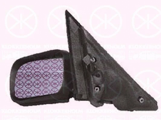 Exterior Mirror (00611031)