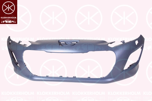 Bumper (5519906A1)