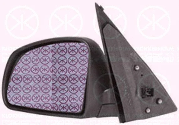 Exterior Mirror (50261041)