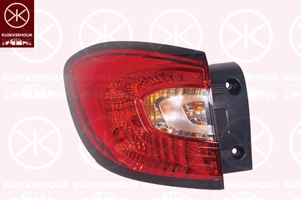 Tail Light Assembly (60140711)
