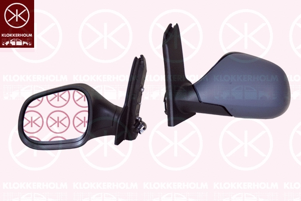 Exterior Mirror (66301044A1)