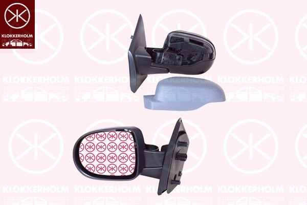 Exterior Mirror (60061043)