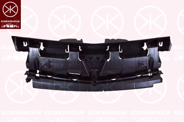 Radiator Grille (6011991)